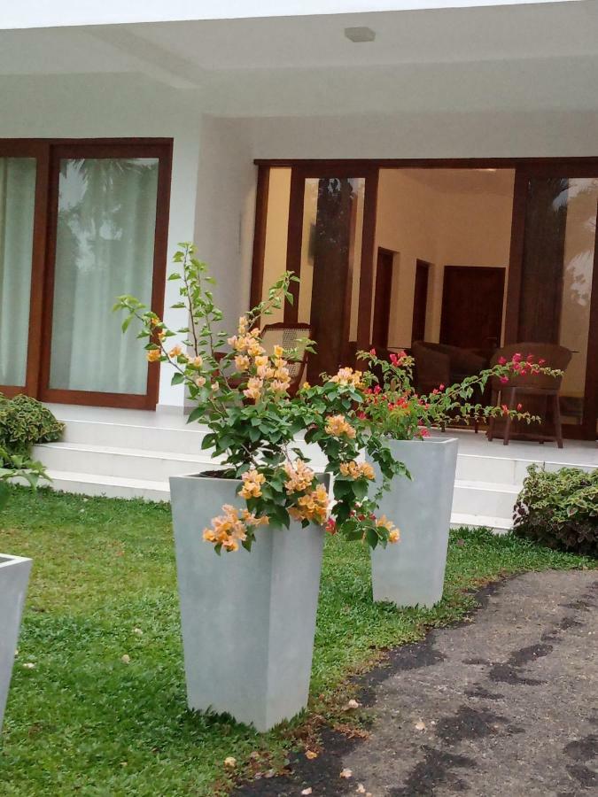 Colibri Villa Maggona Экстерьер фото