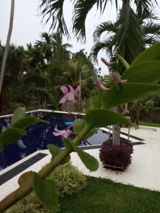 Colibri Villa Maggona Экстерьер фото